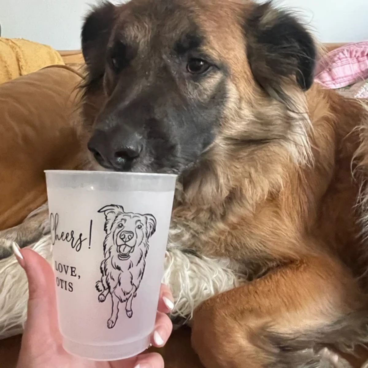 10/50 Gepersonaliseerde Senior - Plastic Cup 50Pcs recensie en prijs