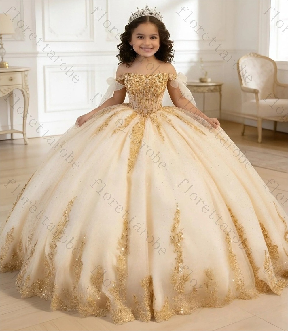 Op maat gemaakte champagnekleu - Birthday Sash Glitter recensie en prijs