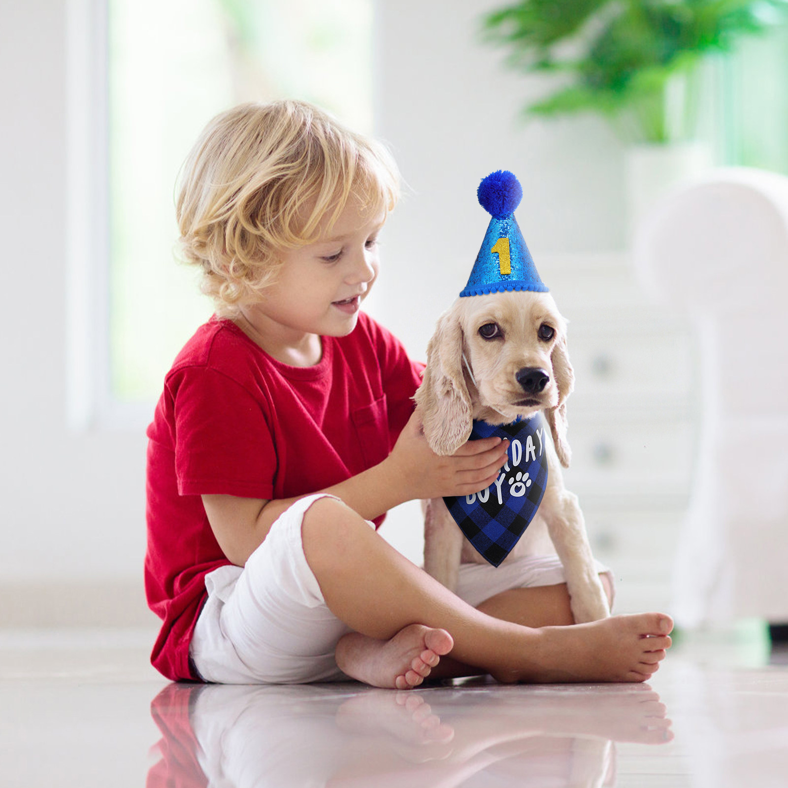 1Set Hond Verjaardag Bandana S - Party Hat Cone recensie en prijs